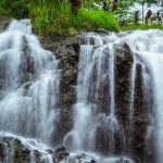 Flushable Options: 7 Proven Tips to Avoid Costly Eco-Mistakes