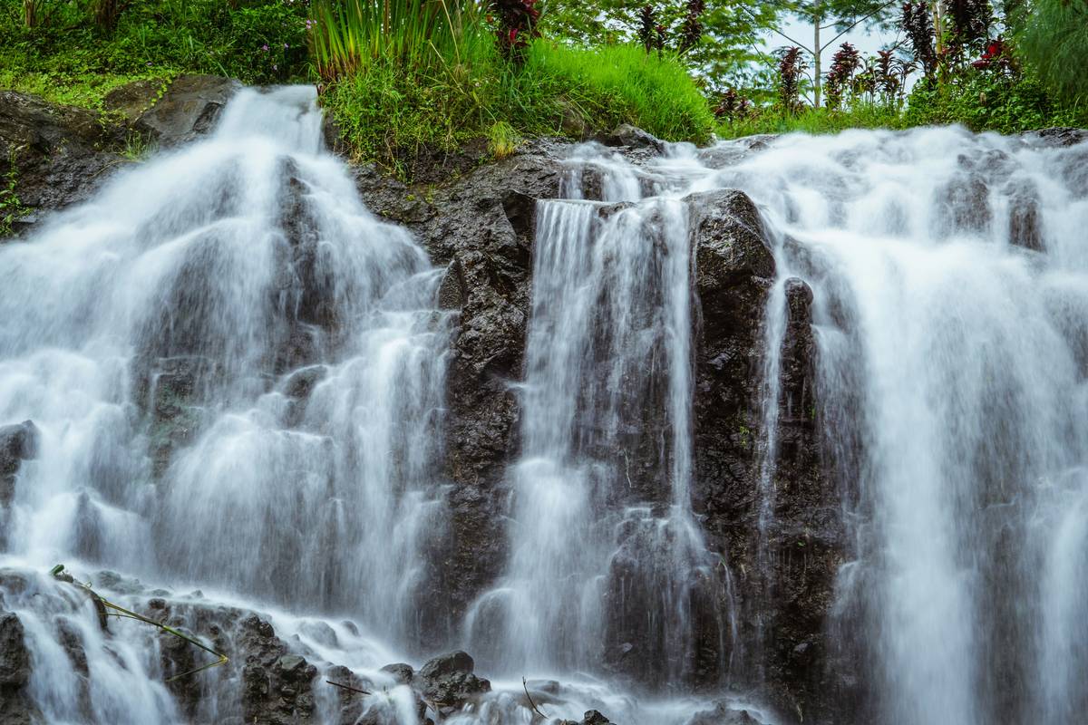 Flushable Options: 7 Proven Tips to Avoid Costly Eco-Mistakes