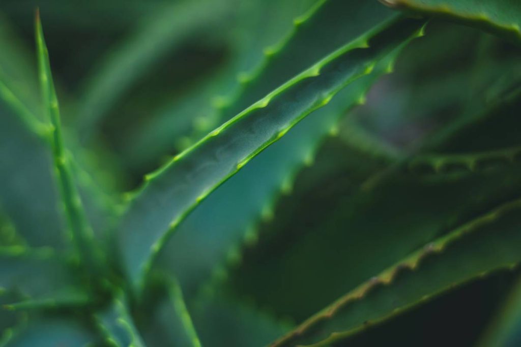 Soft Textures: 7 Proven Tips to Avoid Costly Mistakes with Organic Wipes