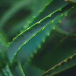 Soft Textures: 7 Proven Tips to Avoid Costly Mistakes with Organic Wipes