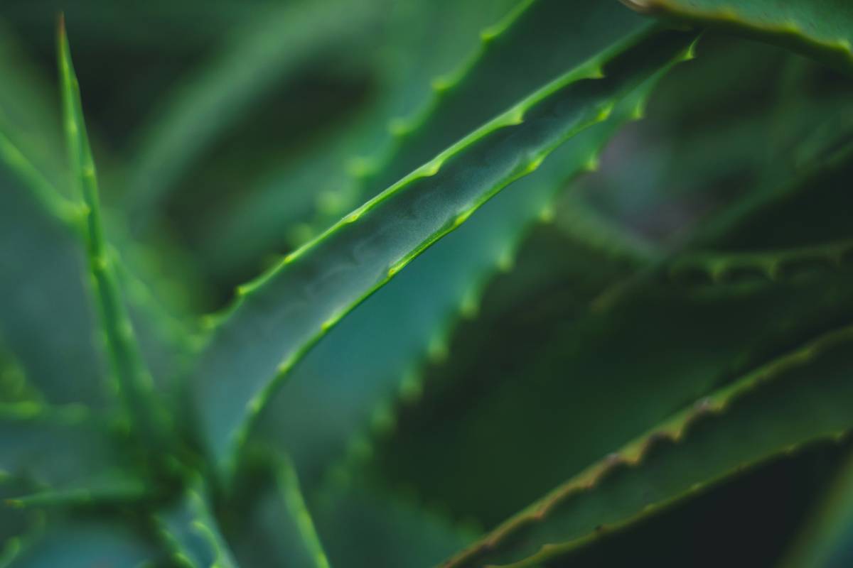 Soft Textures: 7 Proven Tips to Avoid Costly Mistakes with Organic Wipes